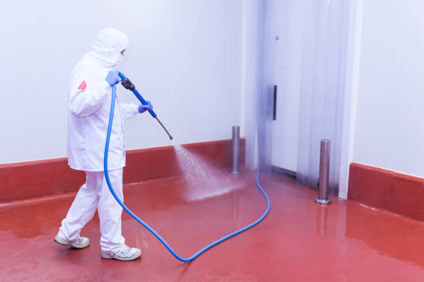 Best Patio and Deck Pressure Washing  in Quinlan, TX