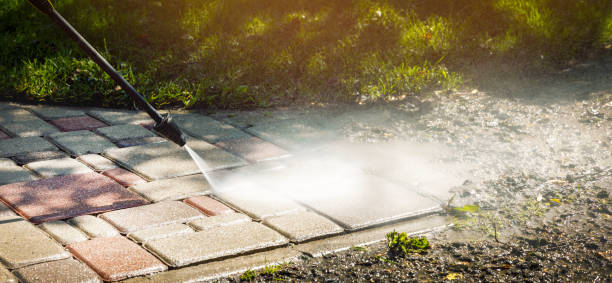 Animal Enclosure Cleaning in Quinlan, TX